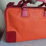 Loewe Amazona Tri-color Goat Skin with Silver Hardware #GLRUL-4 - Image 3