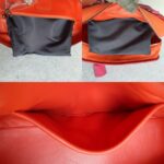 Loewe Amazona Tri-color Goat Skin with Silver Hardware #GLRUL-4 - Image 27