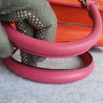 Loewe Amazona Tri-color Goat Skin with Silver Hardware #GLRUL-4 - Image 24