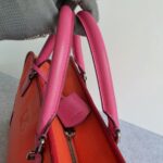 Loewe Amazona Tri-color Goat Skin with Silver Hardware #GLRUL-4 - Image 23