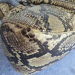 Prada Tote Brown Snake Skin with Silver Hardware #GLRCU-2 - Image 12