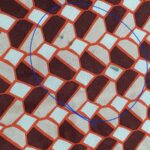 C.Dior Silk Scarf #OERE-4 - Image 6