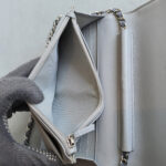 Chanel WOC Deauville Wallet On Chain/Clutch #OKOK-1 - Image 21