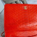 Chanel Wallet On Chain WOC Red Printed Snake Skin with Silver Hardware #OYKU-1 - Image 3