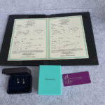 Tiffany & Co Diamond Earring #OYSE-1 - Image 2