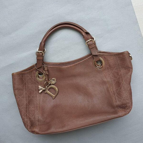Dior Hobo Brown Calf Leather with Gold Hardware #OYRY-10