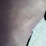 Valentino Garavani Petale Purple Lambskin with Gold Hardware #OYRY-17 - Image 20