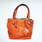 Tods Tote Bag Orange with Calf Leather and Gold Hardware #OOLT-1