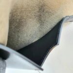 Balmain Crossbody Bag Black/Brown with Leather/Canvas and Gold Hardware #OOUO-6 - Image 29