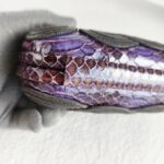 Bottega Veneta Knot Clutch Purple/Bronze with Snake Skin/Suede Leather Lining and Black Hardware #OOTL-1 - Image 12