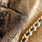 LV Double Jeu Neo-Alma Metallic Gold with Canvas/Leather and Gold Hardware #OOUY-2 - Image 12