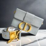 Dior Montaigne Bag Grey with Box Calf Leather and Gold Hardware #OORO-1