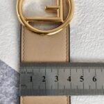 Fendi Bag Strap Beige with Smooth Calf Leather and Silver/Gold Hardware #ORSL-6 - Image 6