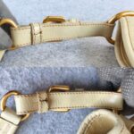 Prada Bag Light Cream/Grey with Glaced Calfskin and Gold Hardware #ORSE-2 - Image 17