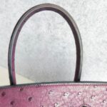 Hermes Birkin 35 Purple Ostrich Skin with Palladium Plated Hardware #REUS-2 - Image 21
