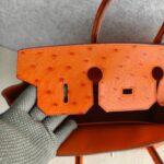 Hermes HAC 32cm Orange Ostrich Skin With Pallaium Plated Hardware #REUR-1 - Image 27