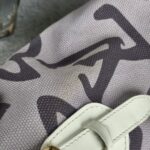 LV Tahitienne PM M95680 Purple/White Canvas with Leather and Gold Hardware #OORU-8 - Image 26