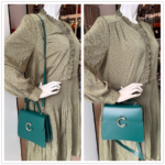 Cartier Top Handle Bag Green Calf Leather with Light Gold Hardware #RLKC-1 - Image 37