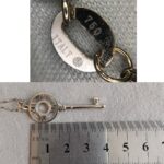 Tiffany & Co Atlas Key 18K White Gold with Diamond Necklace #RLKL-5 - Image 4