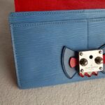 LV Tribal Mask Sarah Wallet Blue /Red Epi Leather with Silver Hardware #RUYE-2 - Image 19