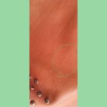 Tod's Bucket Brick Brown Calf Leather with Gold Hardware #RUYR-9 - Image 5