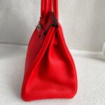 Hermes Birkin 30CM Bi-color Rouge Tomate/Tabac-Camel Clemence Leather with Palladium-Plated Hardware #RUOO-1 - Image 7