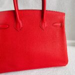 Hermes Birkin 30CM Bi-color Rouge Tomate/Tabac-Camel Clemence Leather with Palladium-Plated Hardware #RUOO-1 - Image 6