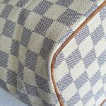 LV Saleya PM Damier Azur Coated Canvas with Gold Hardware #RURO-1 - Image 14