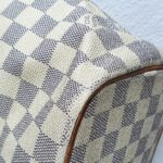 LV Saleya PM Damier Azur Coated Canvas with Gold Hardware #RURO-1 - Image 13