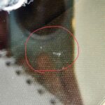 Gucci Sunglasses Brown/Gold Metal/Plastic and Gold Hardware #RCEO-17 - Image 13