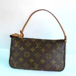 LV Pochette Accessories Brown Monogram Canvas with Leather and Gold Hardware #RCRL-1