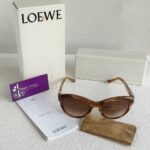 Loewe Sunglasses Brown Acetate Frame and Silver Hardware #GULOY-2 - Image 2
