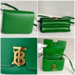 Burberry Crossbody TB Bag Green Calf Leather with Gold Hardware #RKET-5 - Image 2