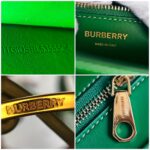 Burberry Crossbody TB Bag Green Calf Leather with Gold Hardware #RKET-5 - Image 25