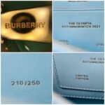 Burberry Olympia Crossbody /Shoulder Bag Blue Calf Leather with Gold Hardware #RKET-3 - Image 17