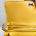 Celine Box Bag Yellow Smooth Calf Leather with Silver Hardware #RKET-2 - Image 21