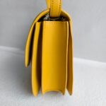 Celine Box Bag Yellow Smooth Calf Leather with Silver Hardware #RKET-2 - Image 7