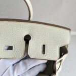 Hermes Birkin 25CM Ot Mushroom White Togo Leather with Gold-Plated Hardware #RKTL-1 - Image 24