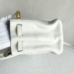 Hermes Birkin 25CM Ot Mushroom White Togo Leather with Gold-Plated Hardware #RKTL-1 - Image 8