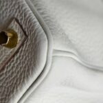 Hermes Birkin 25CM Ot Mushroom White Togo Leather with Gold-Plated Hardware #RKTL-1 - Image 14