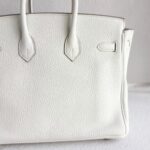 Hermes Birkin 25CM Ot Mushroom White Togo Leather with Gold-Plated Hardware #RKTL-1 - Image 6