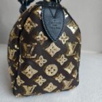 LV Speedy 30 Automne Hiver Monogram Eclipse Sequin with Gold Hardware #GULRR-1 - Image 8