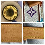 LV Bracelet Multicolor Monogram Coated Canvas with Leather and Gold Hardware #RYCE-8 - Image 5