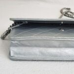Chanel WOC Wallet On Chain Grey Aged Calfskin with Ruthenium Hardware #RYOC-1 - Image 11