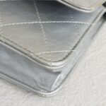 Chanel WOC Wallet On Chain Grey Aged Calfskin with Ruthenium Hardware #RYOC-1 - Image 17