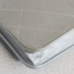 Chanel WOC Wallet On Chain Grey Aged Calfskin with Ruthenium Hardware #RYOC-1 - Image 18