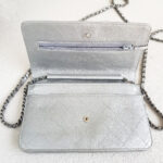 Chanel WOC Wallet On Chain Grey Aged Calfskin with Ruthenium Hardware #RYOC-1 - Image 19