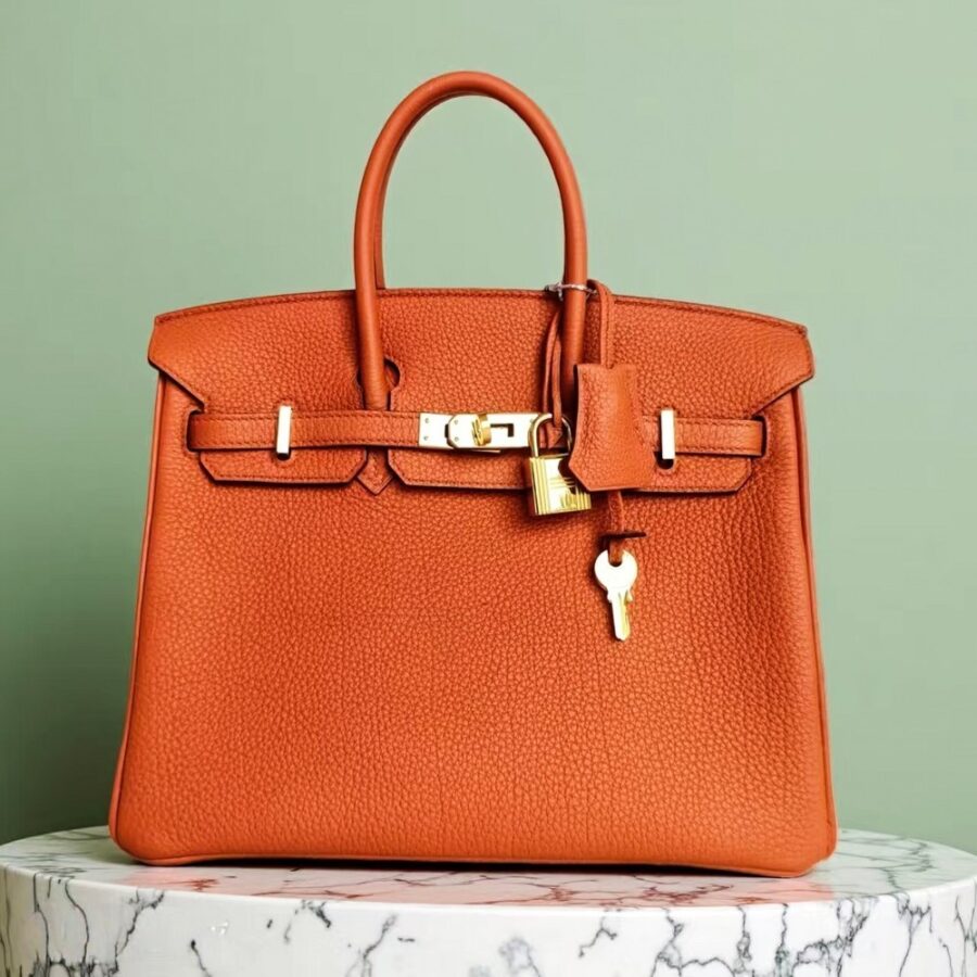 Hermes Birkin 25CM Cuirve Togo Leather with Gold-Plated Hardware #RSRY-1