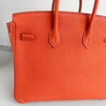 Hermes Birkin 25CM Cuirve Togo Leather with Gold-Plated Hardware #RSRY-1 - Image 5
