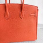 Hermes Birkin 25CM Cuirve Togo Leather with Gold-Plated Hardware #RSRY-1 - Image 6
